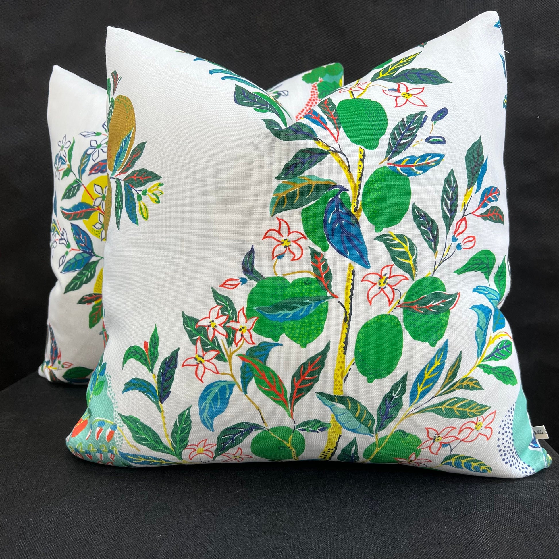 Schumacher Citrus Garden Contemporary Luxury Designer Cushion Sofa Throw Pillow Cover