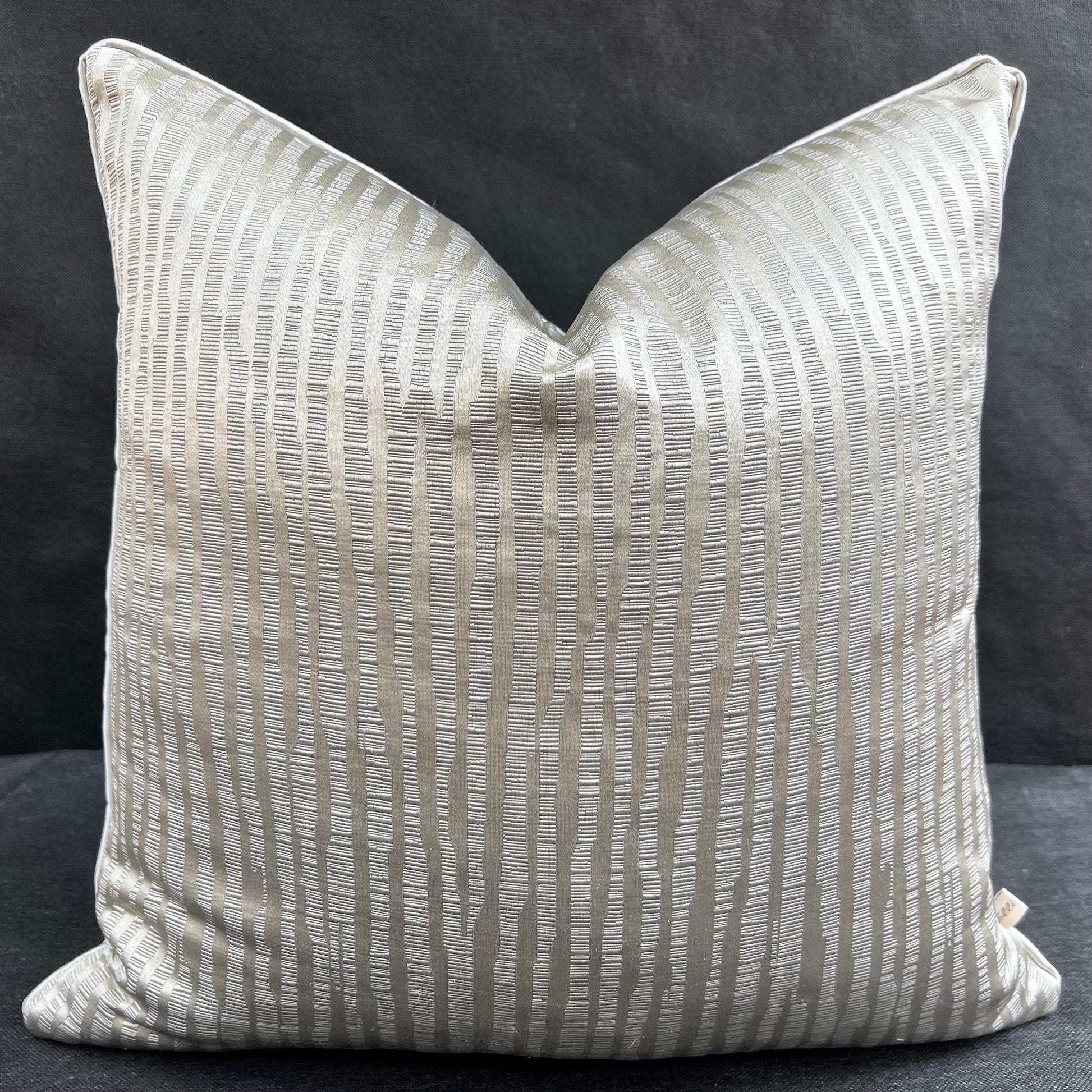 Evitavonni Glisten Luxury Designer Contemporary Modern Silvery Beige Cushion Pillow Cover