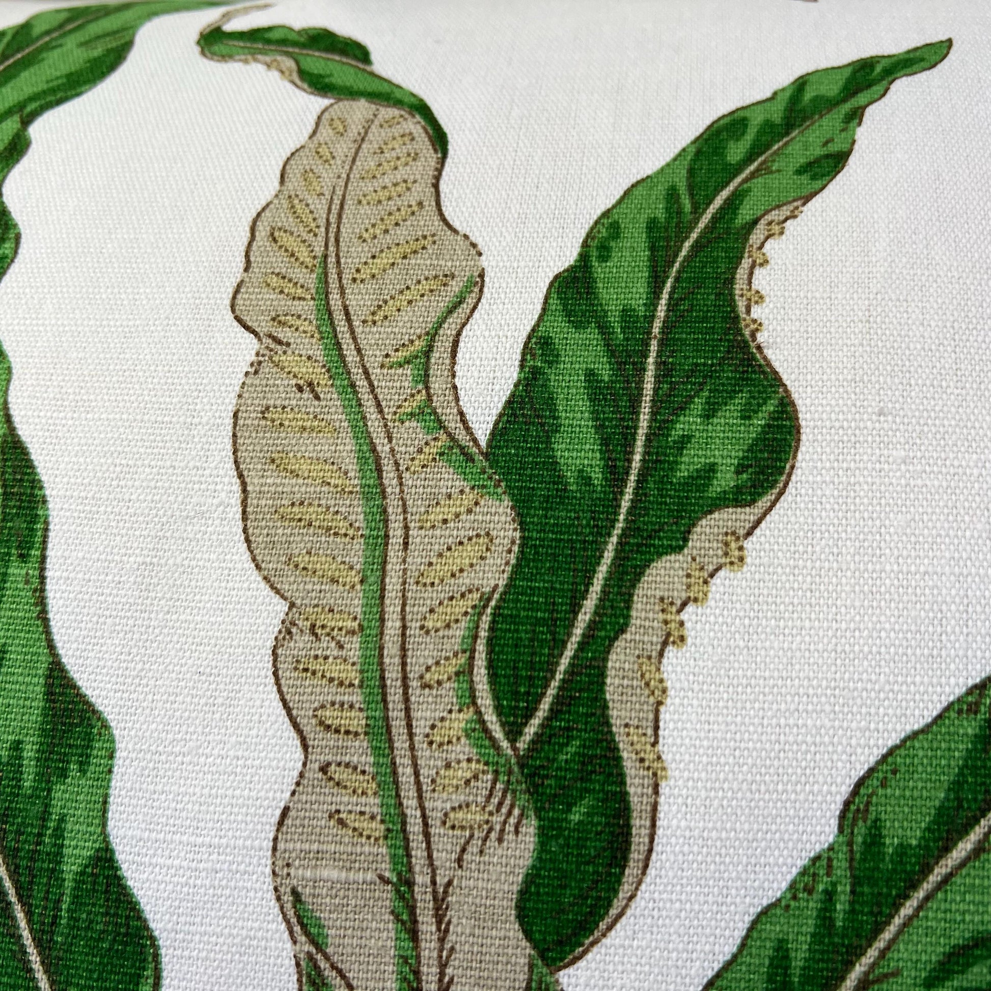 GP & J Baker Ferns Luxury Designer Decorative Green Beige Cushion Throw Pillow Cover